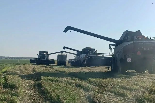 Погода в Алексеевском районе на 11 октября
