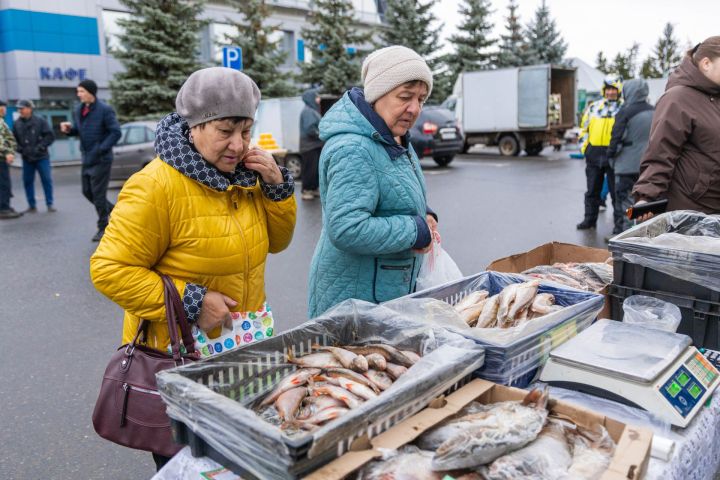 В Алексеевском районе прошла традиционная сельскохозяйственная ярмарка