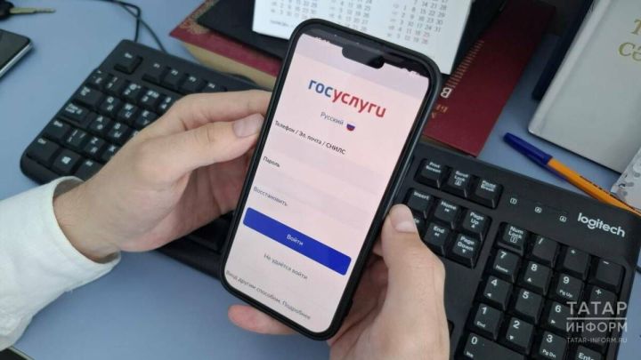 «Зелёная кнопка» позволит снимать ограничения на «Госуслугах»