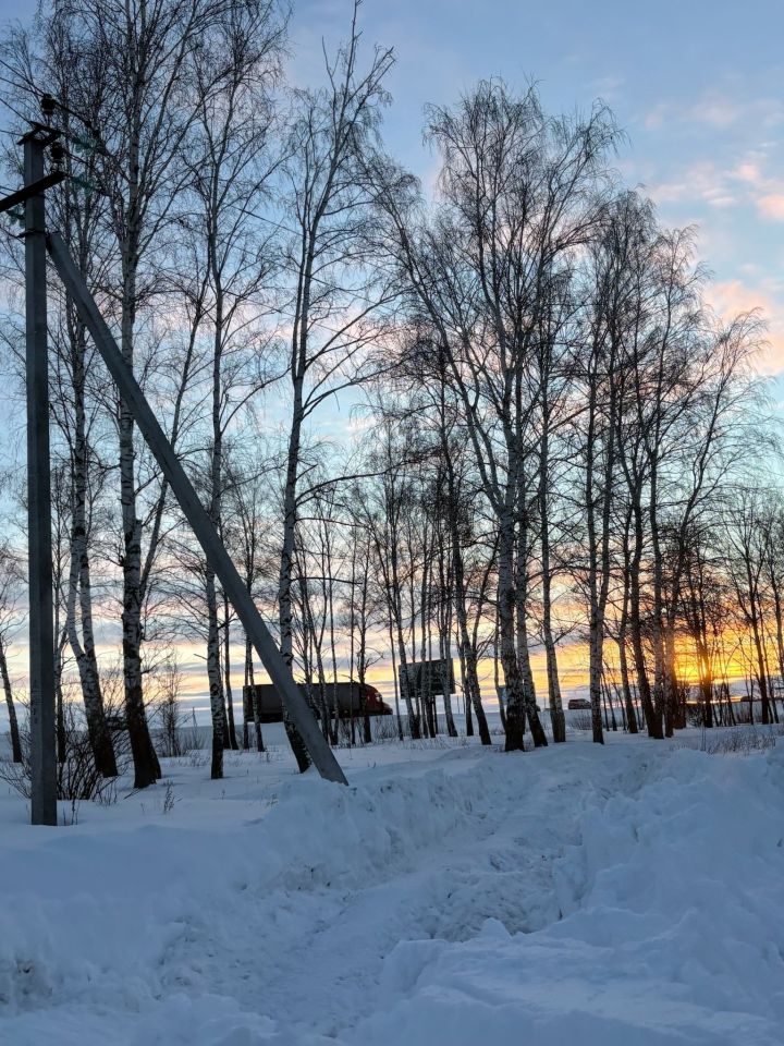 Прогноз погоды в Алексеевском на 25 февраля