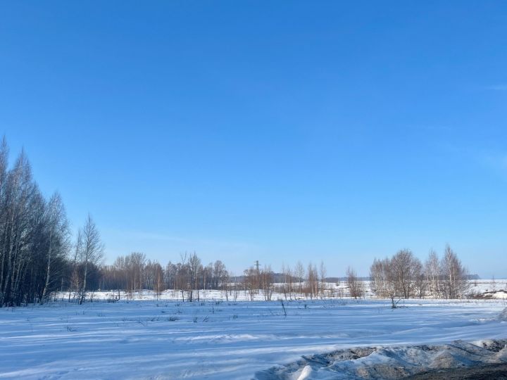 Прогноз в Алексеевском на 27 марта