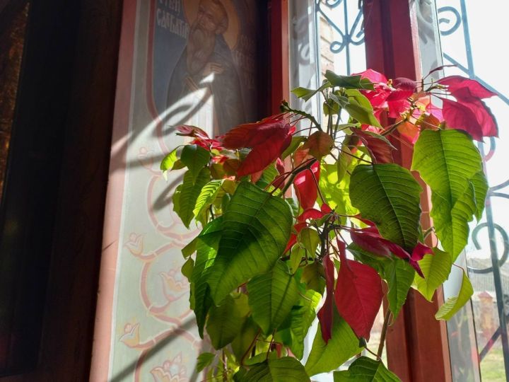 Пасха: что можно и что нельзя делать в этот день