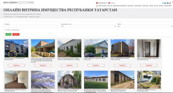 Первые итоги работы цифровой «Витрины имущества» в Татарстане
