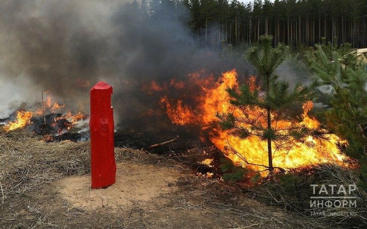 Противопожарный режим в Татарстане: запреты и штрафы — 2026