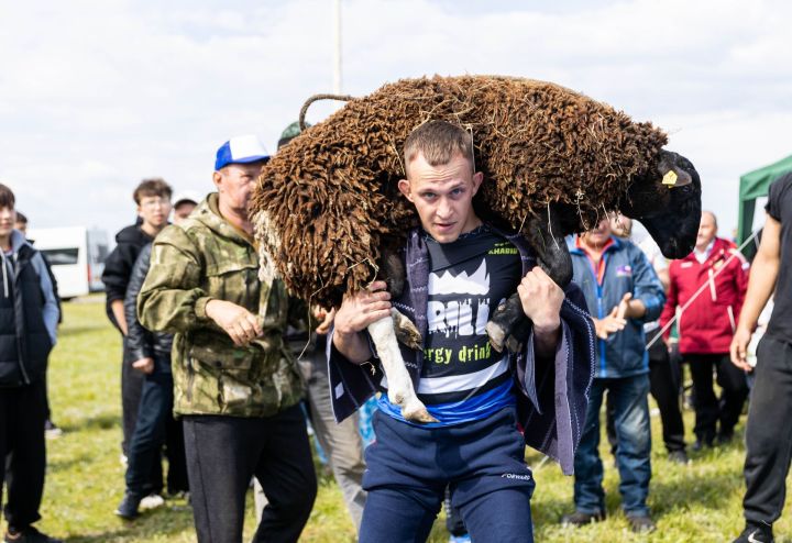 Алексеевск районы Сабантуе меңләгән кунакны җыйды