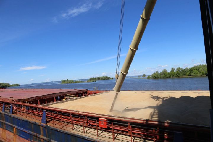 Саконы укрепляют статус ключевого зернового хаба Татарстана