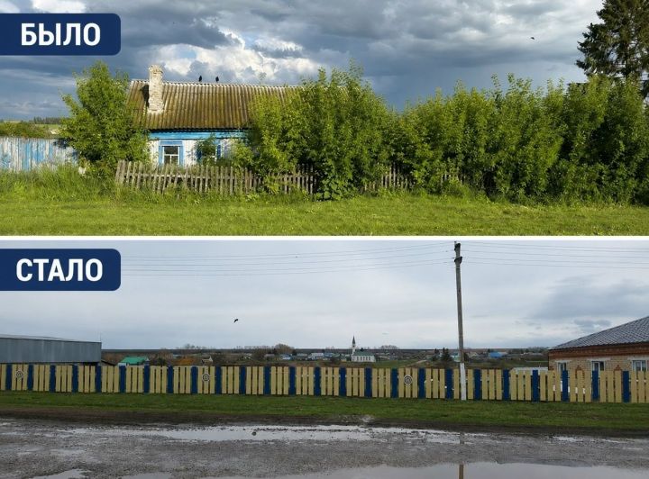 Как в Алексеевском районе борются с заросшими участками