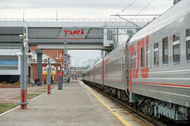 Студенты КГАУ отправятся собирать яблоки в Липецкую область