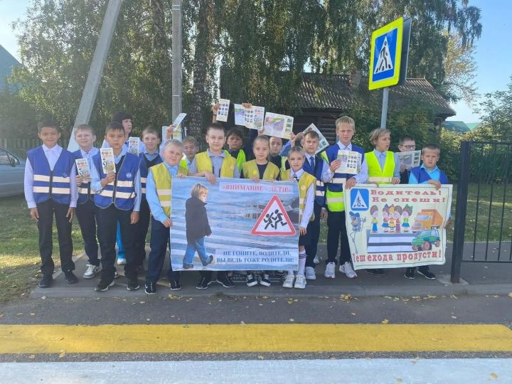 В Алексеевском районе проходят акции по безопасности дорожного движения