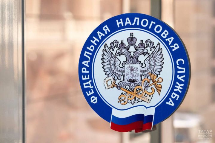 Напоминание о сроке уплаты имущественных налогов до 1 декабря