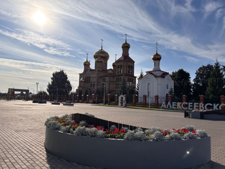 Прогноз погоды в Алексеевском районе на 4 сентября