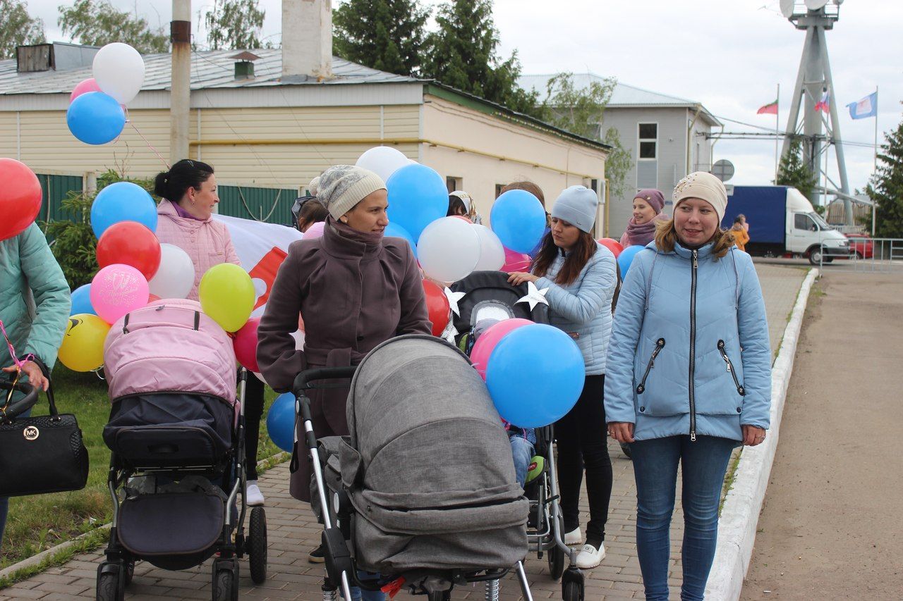 В Алексеевском состоялся марш в рамках Фестиваля беременных и младенцев «Пробег в колясках»