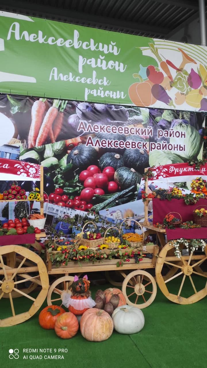 Делегация Алексеевского района приняла участие в сельскохозяйственной ярмарке-выставке
