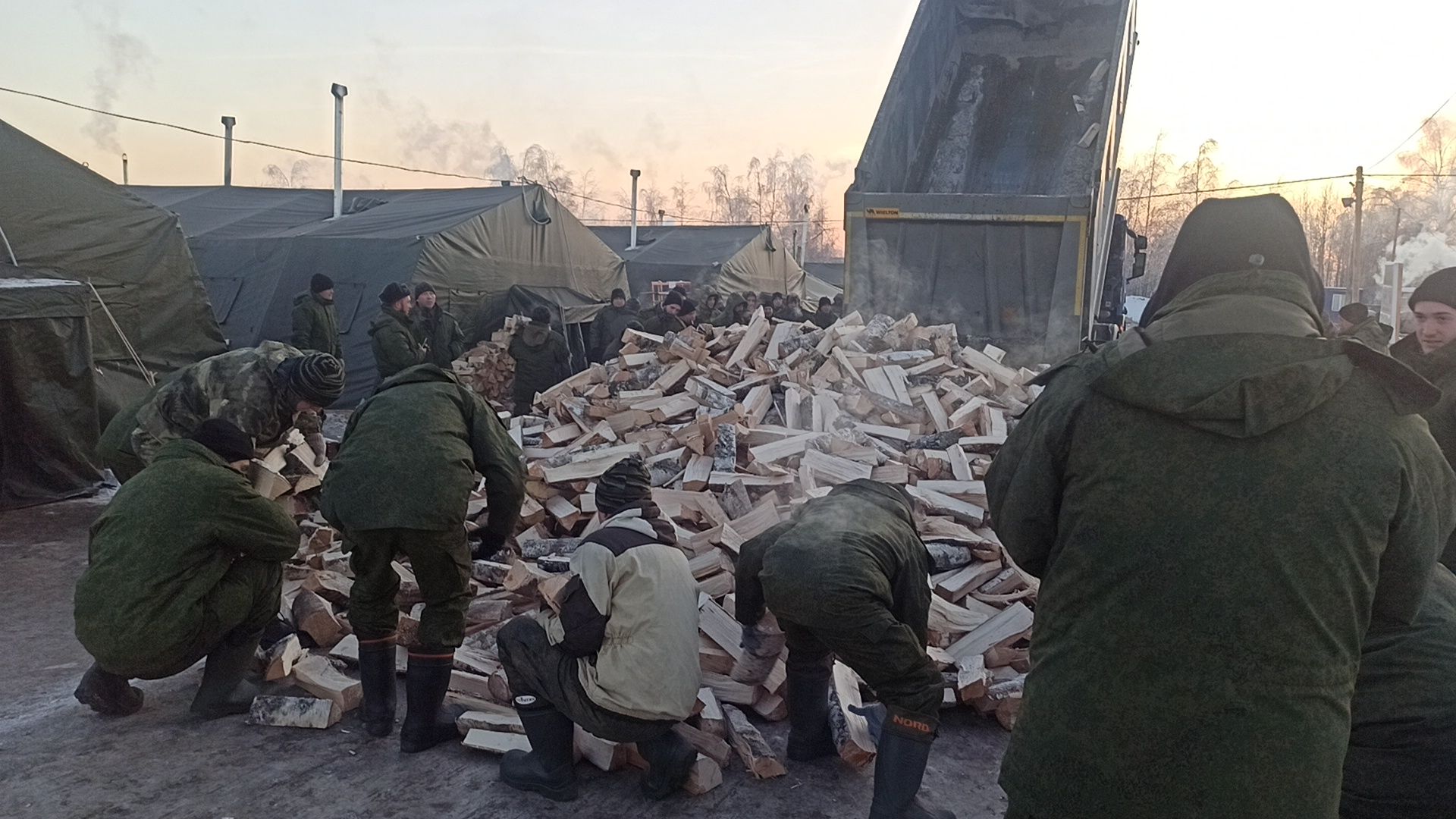 Жители Алексеевского и Чистопольского районов приобрели дрова для мобилизованных