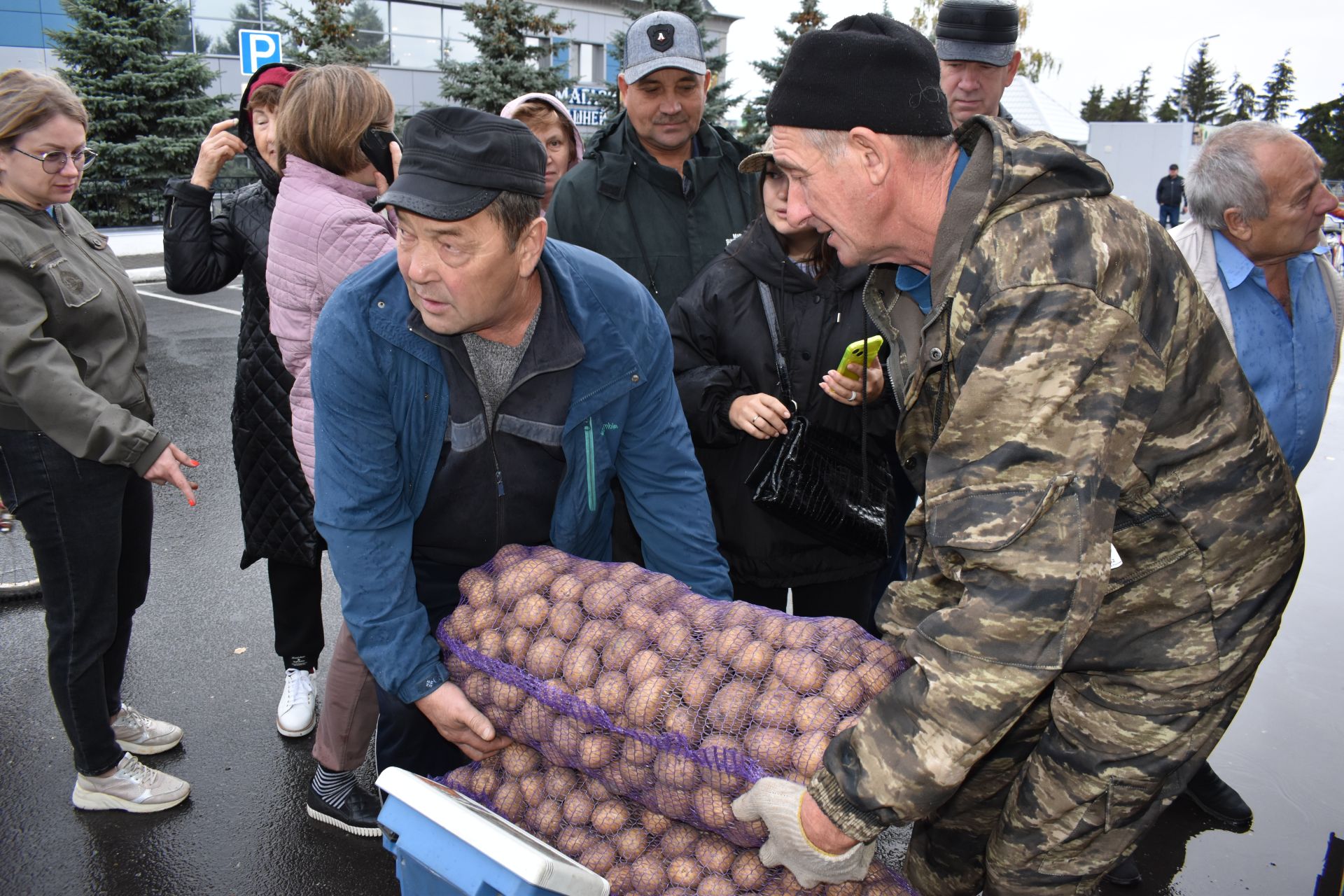 На осенней ярмарке алексеевцы покупали цветы, мясо, картофель и подписывались на «районку»