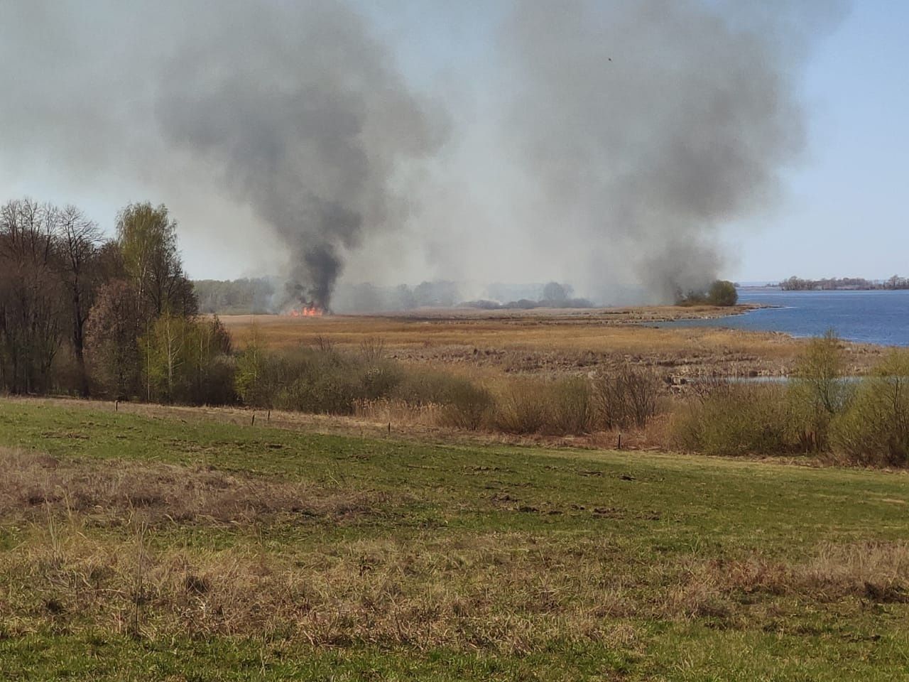 В Алексеевском районе Татарстана нарушитель поджёг камыш