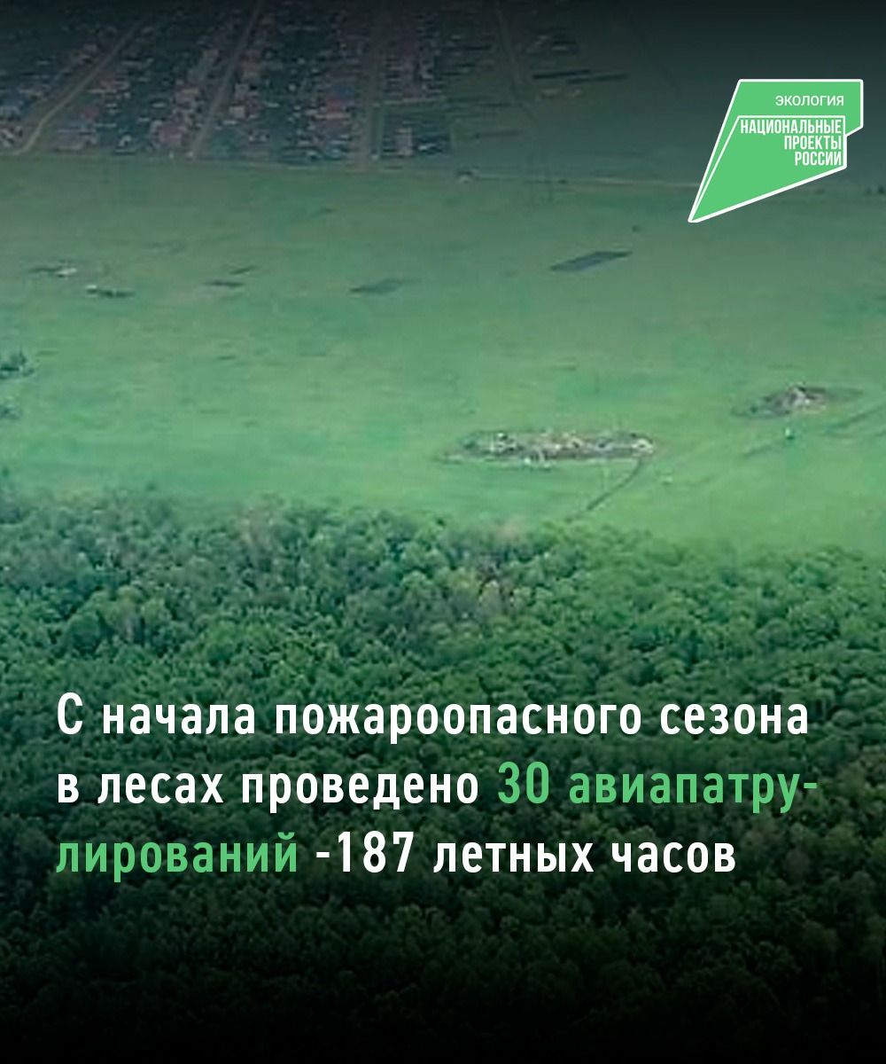 С начала пожароопасного сезона в лесах Татарстана провели 30 авиапатрулирований