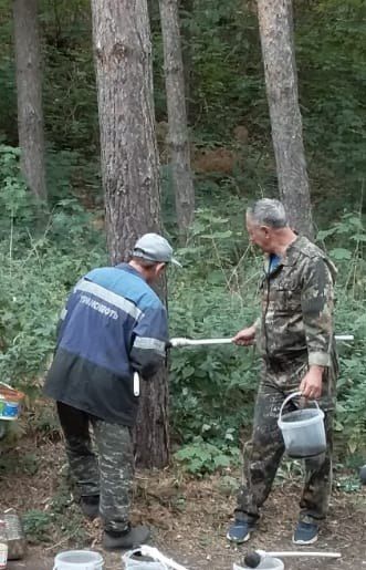 Сотрудники Билярского музея-заповедника приняли участие во Всероссийской акции «Сохраним лес»