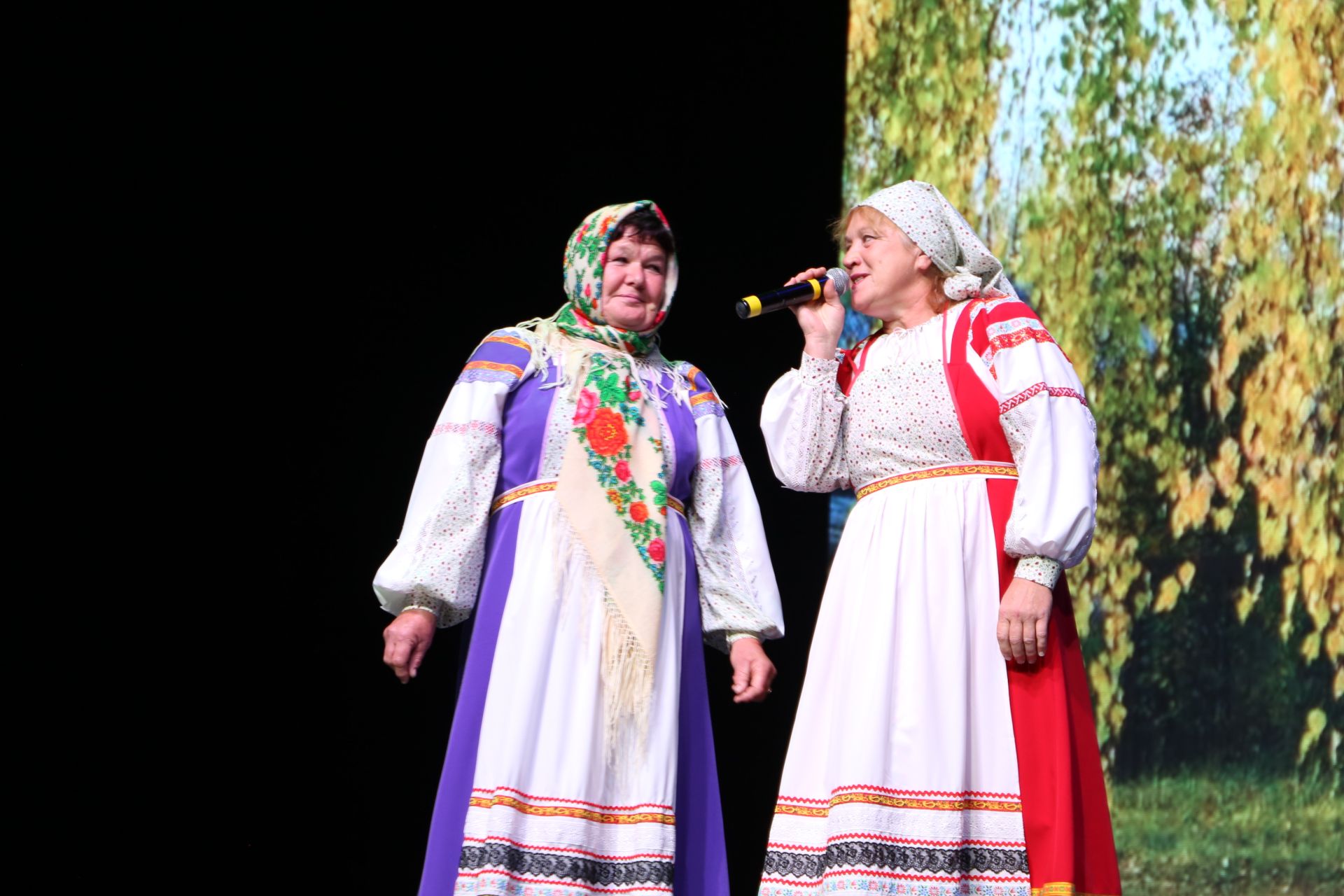 День культуры Алексеевского района в Казани: традиции и угощения