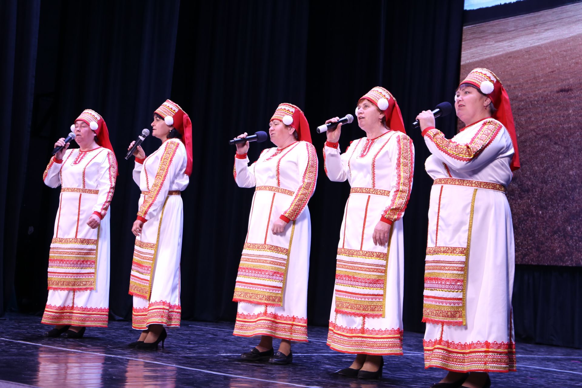 День народного единства в Алексеевском районе