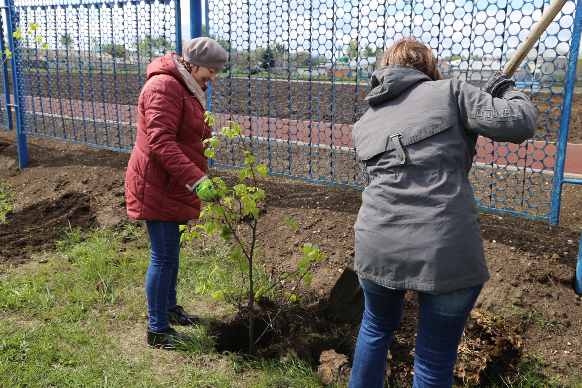 В Алексеевском районе прошла акция «Посади дерево», приуроченная к Году семьи