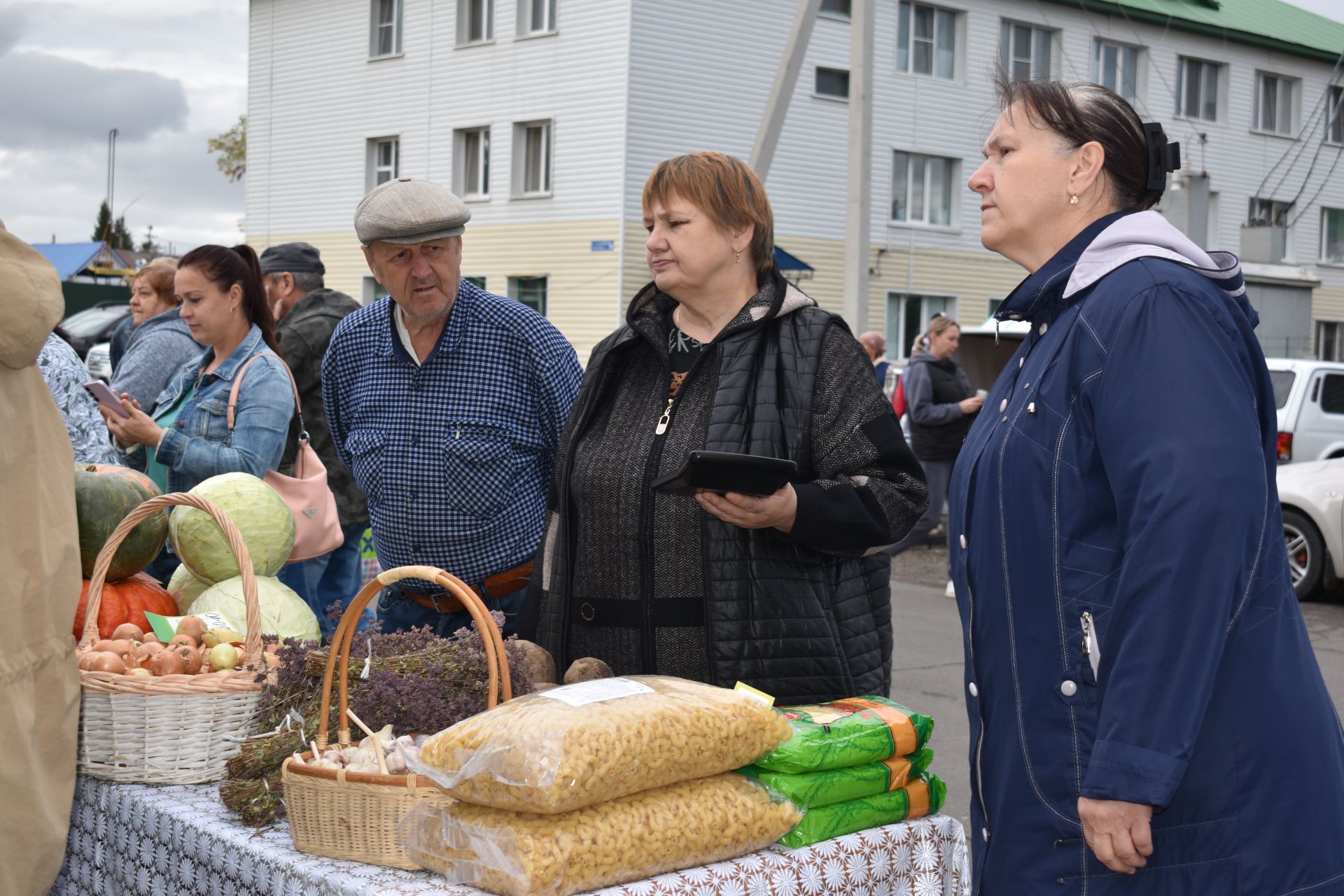 В Алексеевском стартовали осенние сельскохозяйственные ярмарки