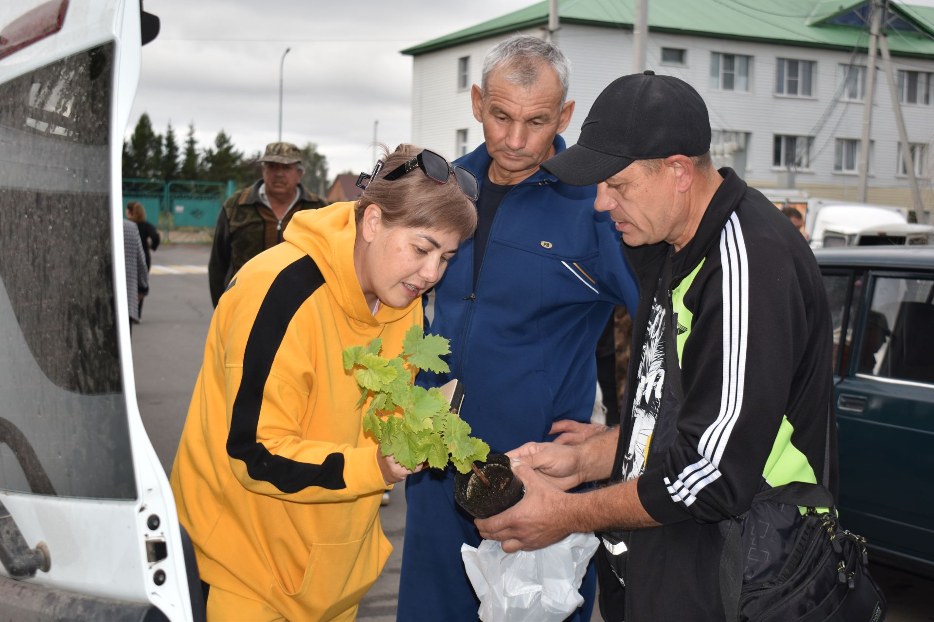 В Алексеевском стартовали осенние сельскохозяйственные ярмарки