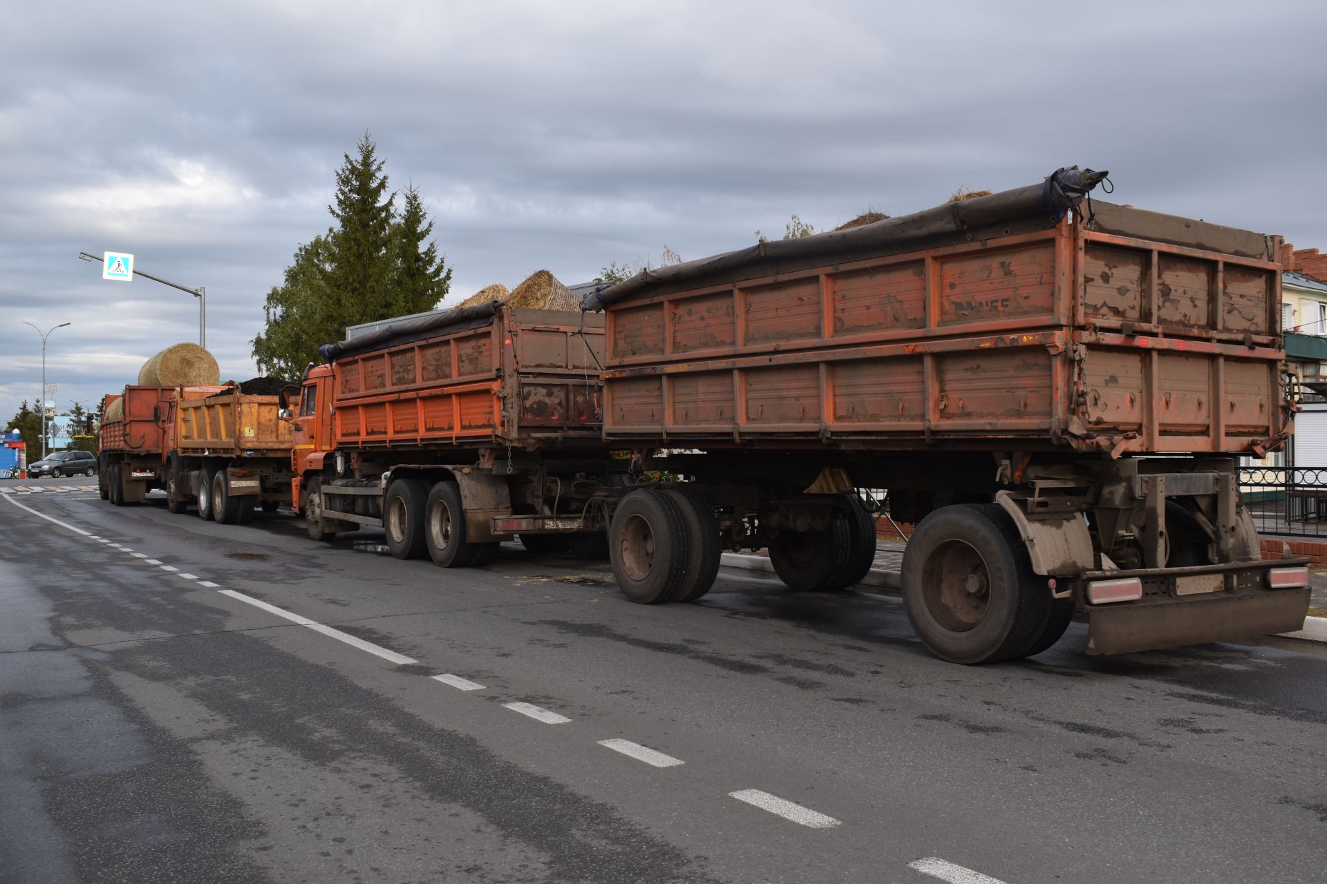 В Алексеевском стартовали осенние сельскохозяйственные ярмарки