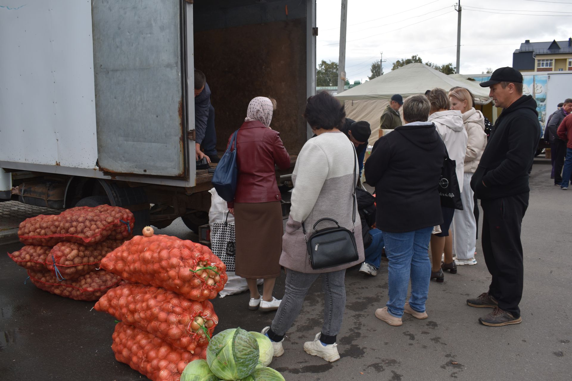 В Алексеевском стартовали осенние сельскохозяйственные ярмарки