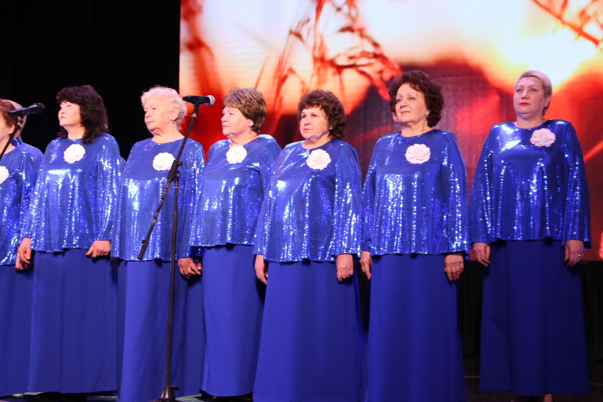 В Алексеевском официально открыли Год героев