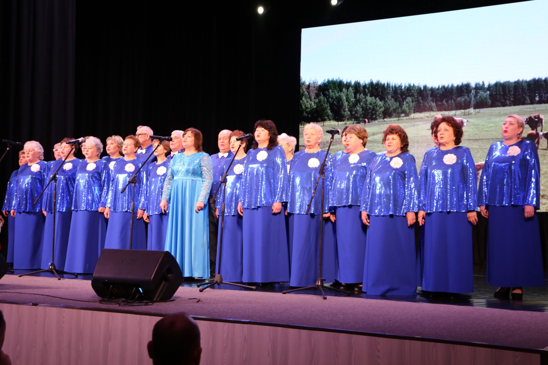 В Алексеевском официально открыли Год героев