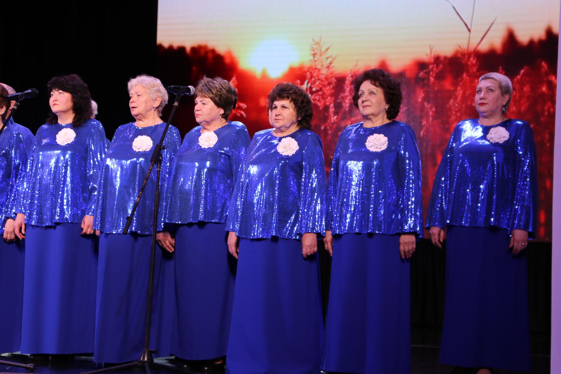 В Алексеевском официально открыли Год героев