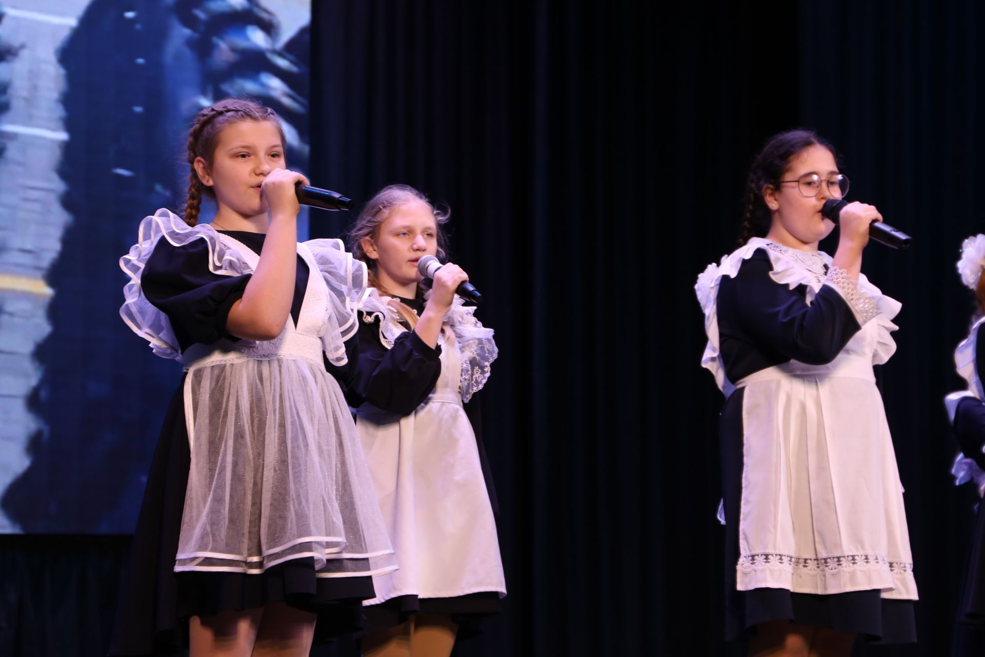 В Алексеевском официально открыли Год героев