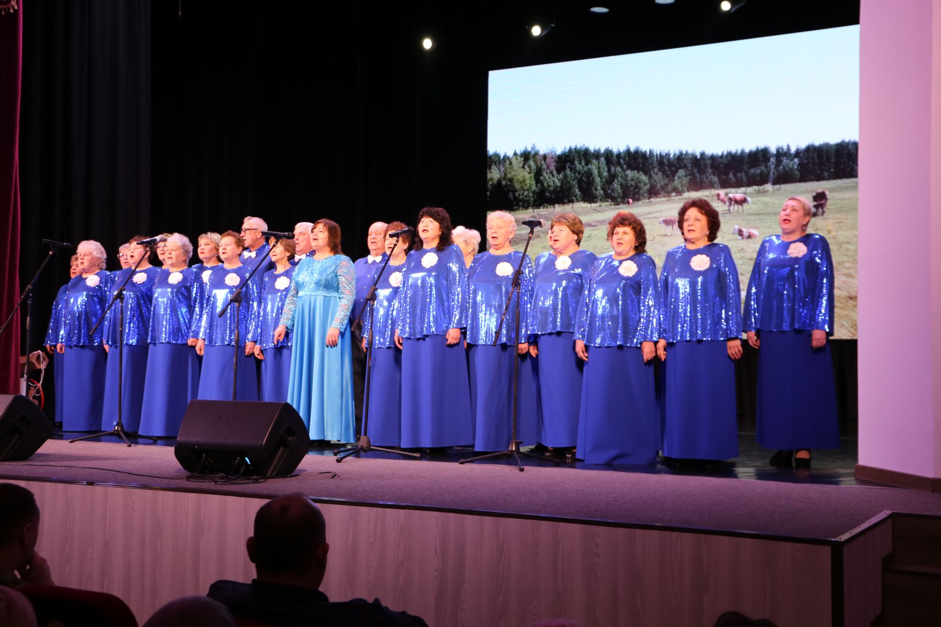 В Алексеевском официально открыли Год героев