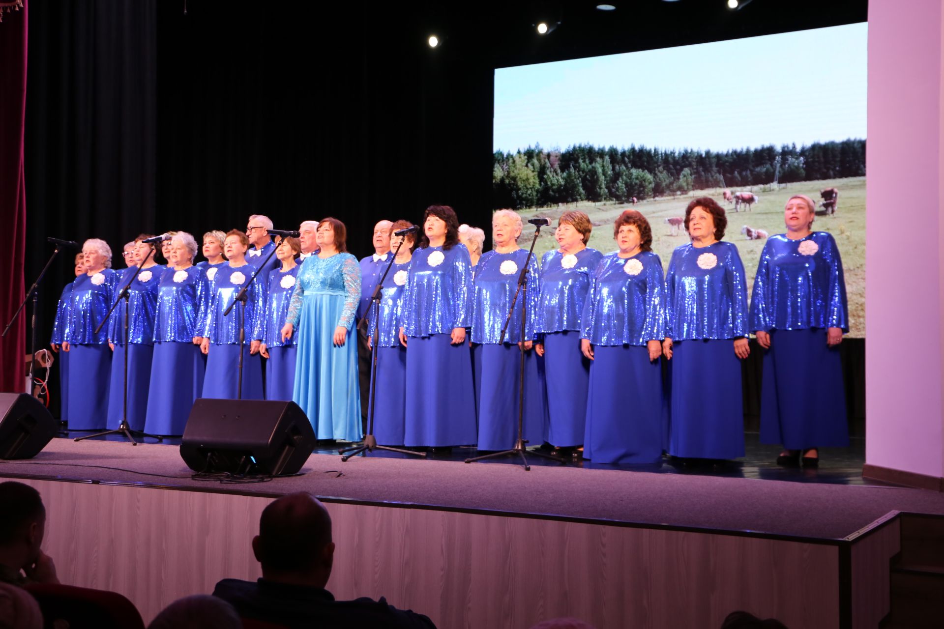 В Алексеевском официально открыли Год героев