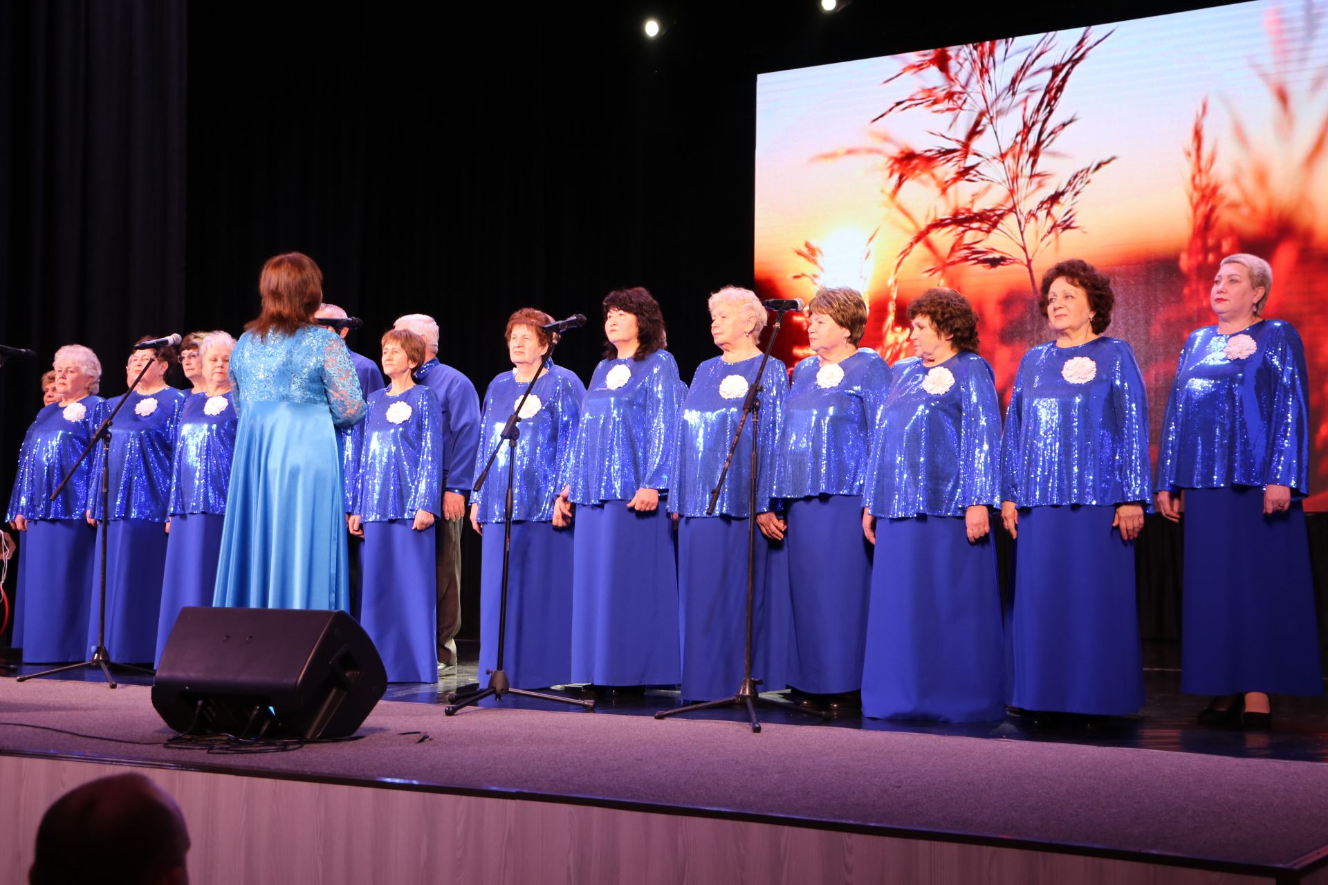 В Алексеевском официально открыли Год героев