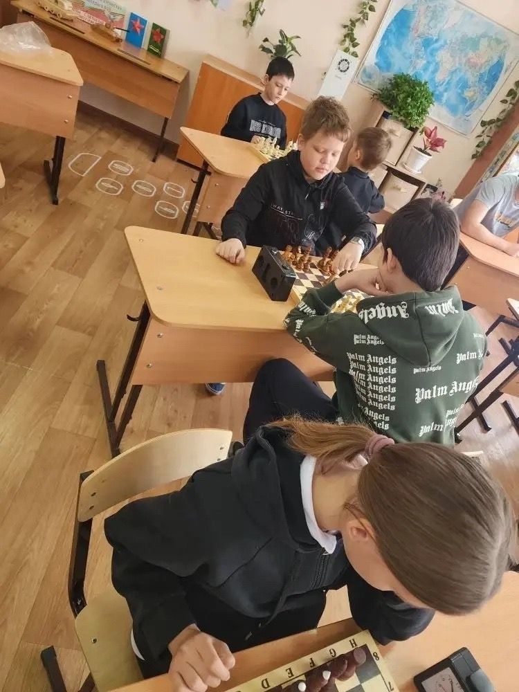В Алексеевском районе прошёл муниципальный шахматный турнир среди школьников