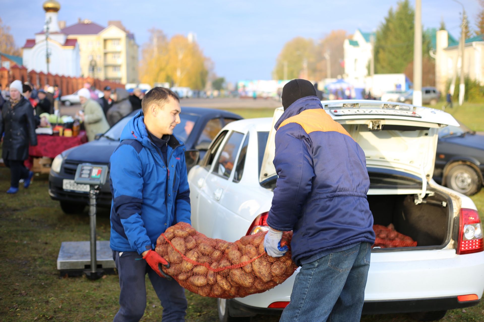 Сельскохозяйственная ярмарка в Алексеевском районе