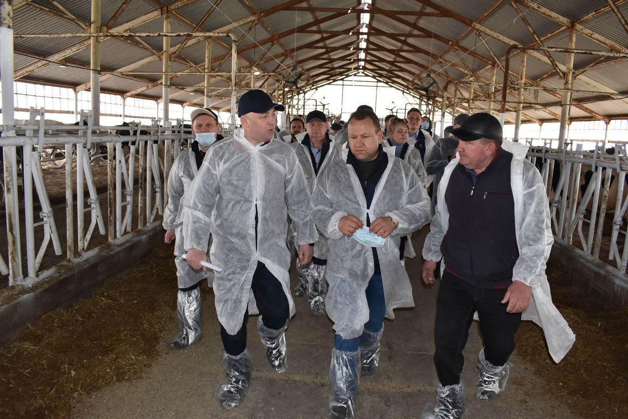 В Алексеевском обсудили перспективы отрасли животноводства