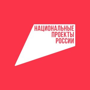 Татарстан на реализацию национальных проектов за год потратит 43 млрд рублей