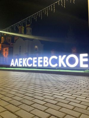 Прогноз погоды в Алексеевском на 21 ноября