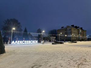 Прогноз погоды в Алексеевском на 20 декабря