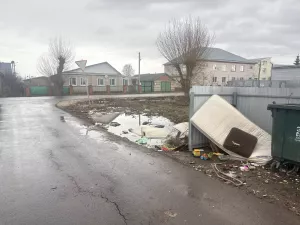 В Алексеевском районе выявлены свалки вдоль автомобильных дорог
