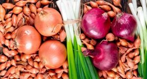 Эксперты ЦОК АПК дали советы по выбору и хранению лука