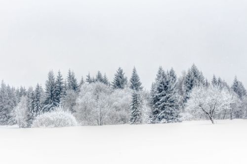 Оперативный прогноз погоды на 30 января