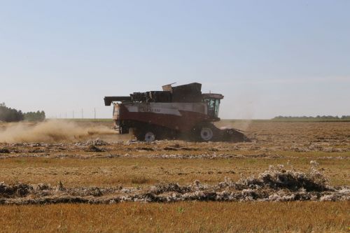 Денежная выручка от реализации сельхозпродукции Татарстана увеличится на 29 млрд рублей