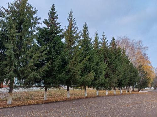 Прогноз погоды на 26 октября
