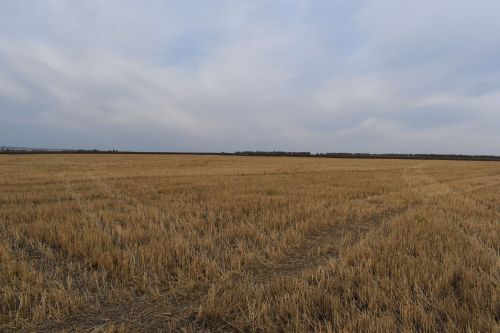Прогноз погоды на 4 октября