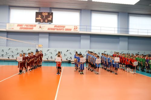 В Алексеевском стартовало первенство Татарстана по волейболу