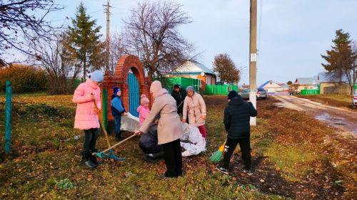 Активисты района помогли навести порядок у дома пенсионерки
